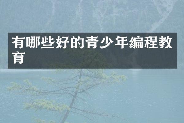 有哪些好的青少年编程教育