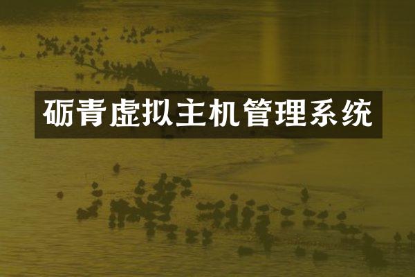 砺青虚拟主机管理系统