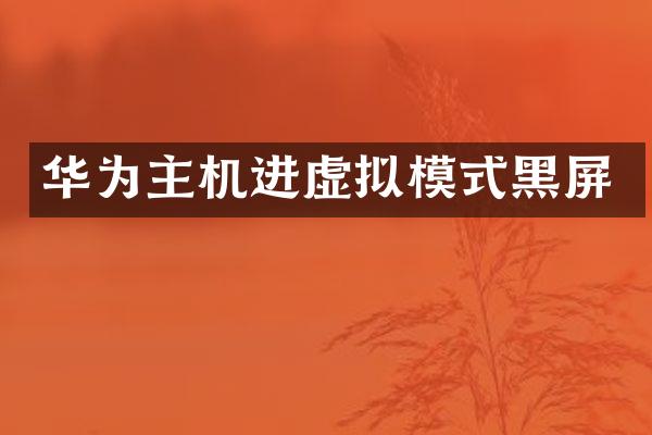 华为主机进虚拟模式黑屏