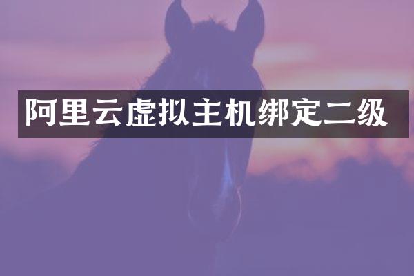 阿里云虚拟主机绑定二级