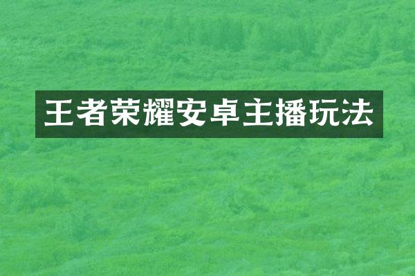 王者荣耀安卓主播玩法