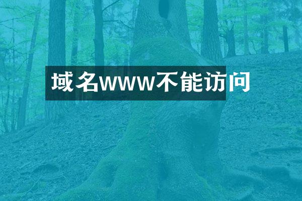 域名www不能访问