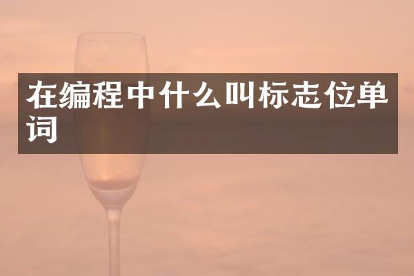 在编程中什么叫标志位单词
