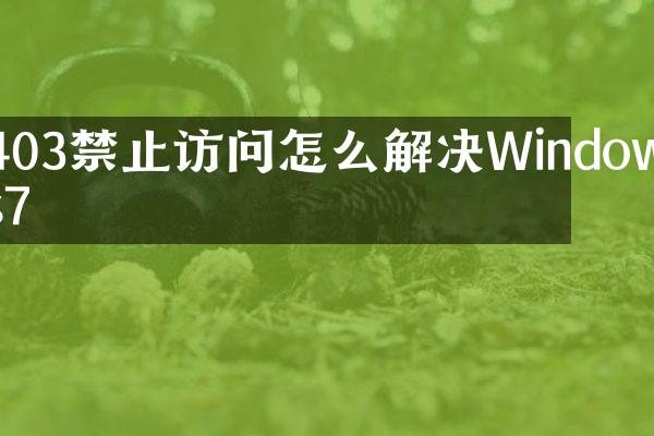 403禁止访问怎么解决Windows7