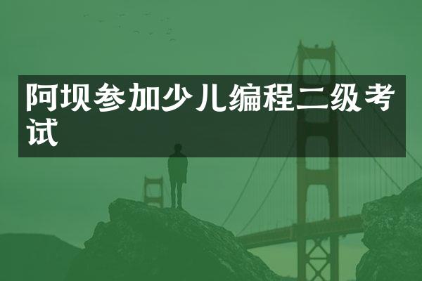 阿坝参加少儿编程二级考试