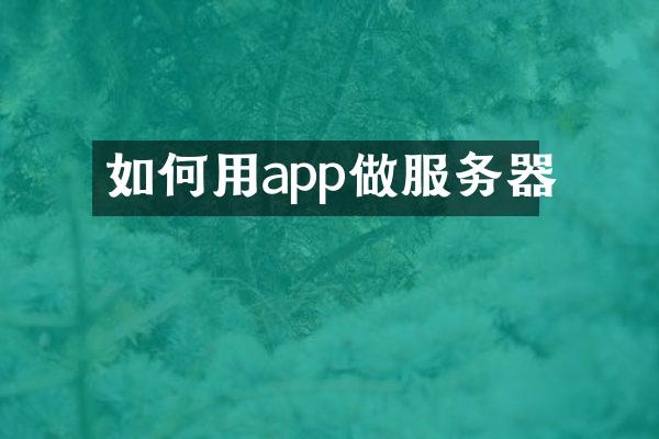 如何用app做服务器