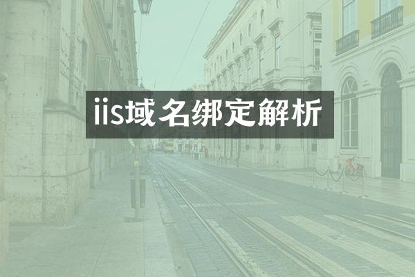 iis域名绑定解析