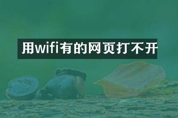 用wifi有的网页打不开