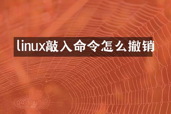 linux敲入命令怎么撤销