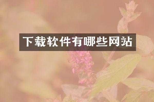 下载软件有哪些网站