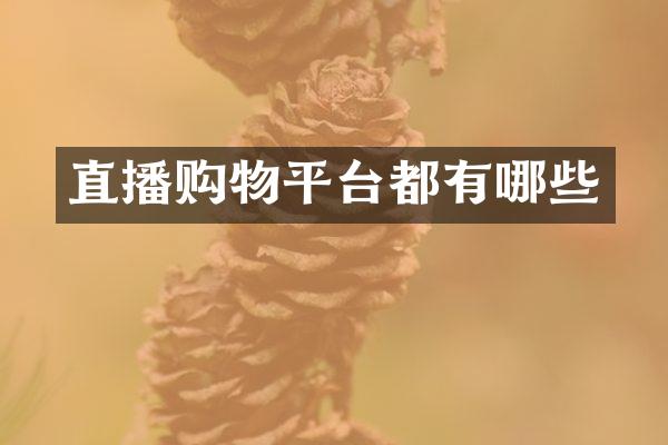 直播购物平台都有哪些