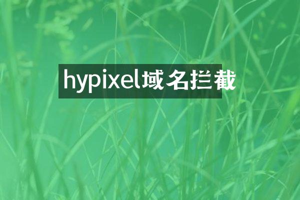 hypixel域名拦截