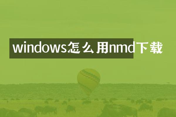 windows怎么用nmd下载