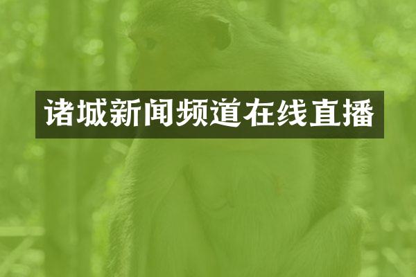 诸城新闻频道在线直播