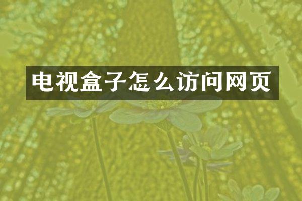 电视盒子怎么访问网页