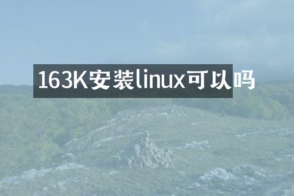 163K安装linux可以吗