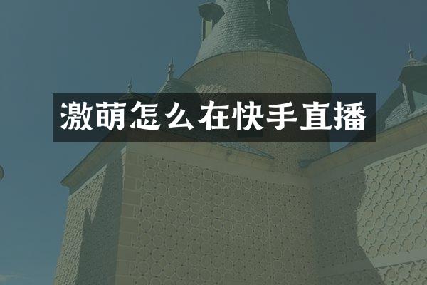 激萌怎么在快手直播