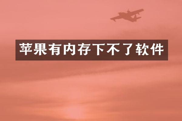 苹果有内存下不了软件