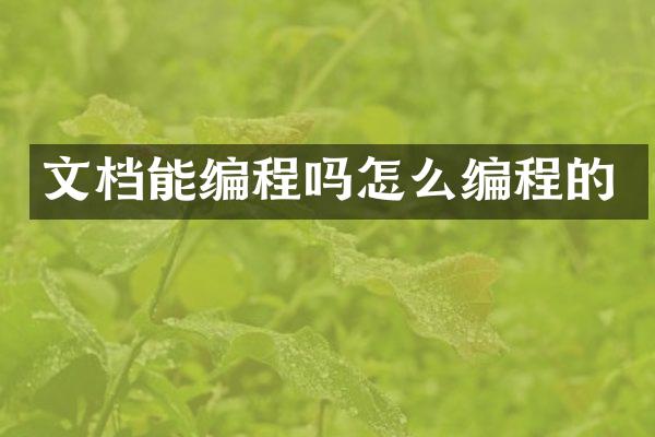 文档能编程吗怎么编程的