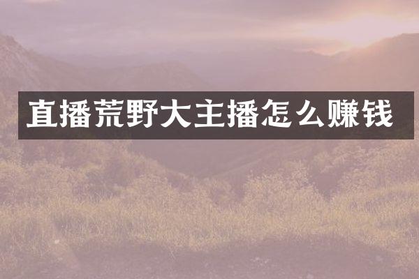直播荒野大主播怎么赚钱