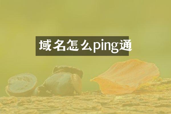 域名怎么ping通