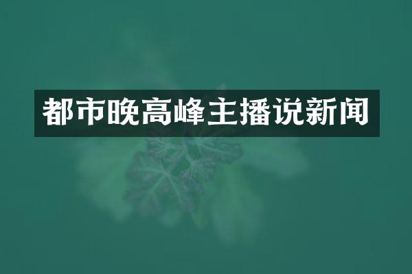 都市晚高峰主播说新闻