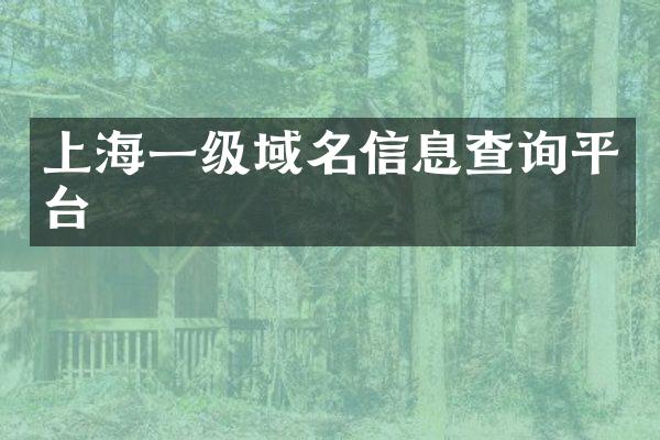 上海一级域名信息查询平台