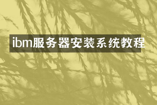 ibm服务器安装系统教程