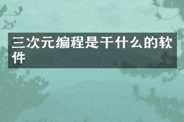 三次元编程是干什么的软件