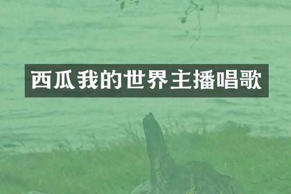 西瓜我的世界主播唱歌