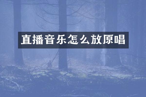 直播音乐怎么放原唱