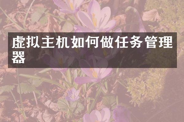 虚拟主机如何做任务管理器