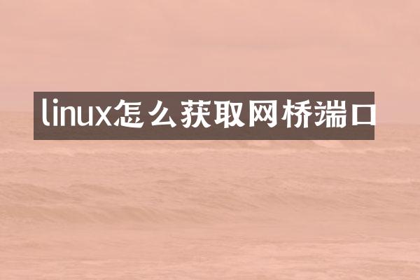 linux怎么获取网桥端口