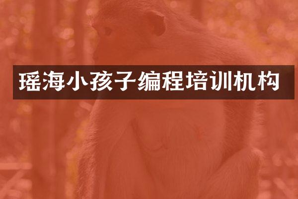 瑶海小孩子编程培训机构