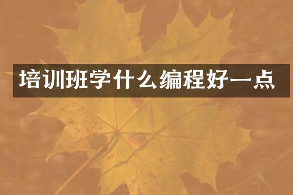 培训班学什么编程好一点