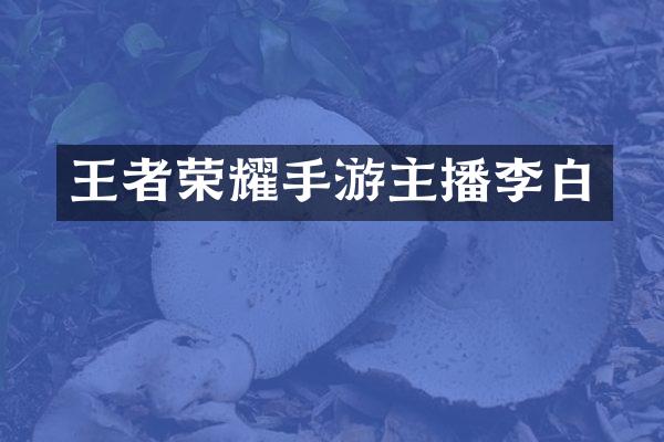 王者荣耀手游主播李白