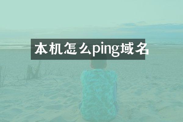 本机怎么ping域名