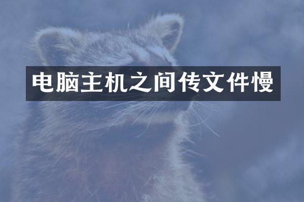 电脑主机之间传文件慢