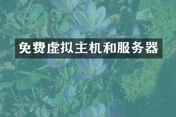 免费虚拟主机和服务器