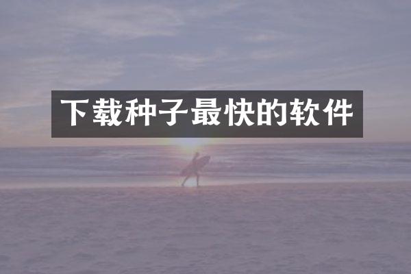 下载种子最快的软件