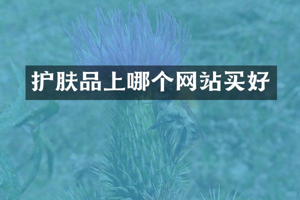 护肤品上哪个网站买好