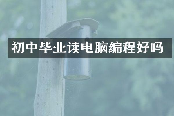 初中毕业读电脑编程好吗