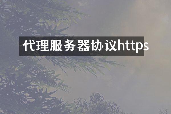 代理服务器协议https