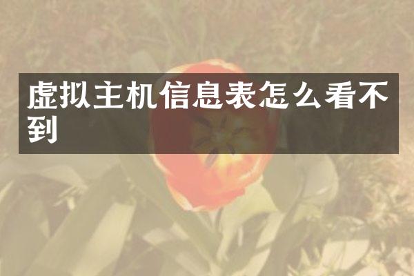 虚拟主机信息表怎么看不到