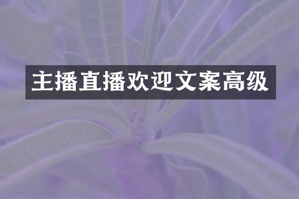 主播直播欢迎文案高级