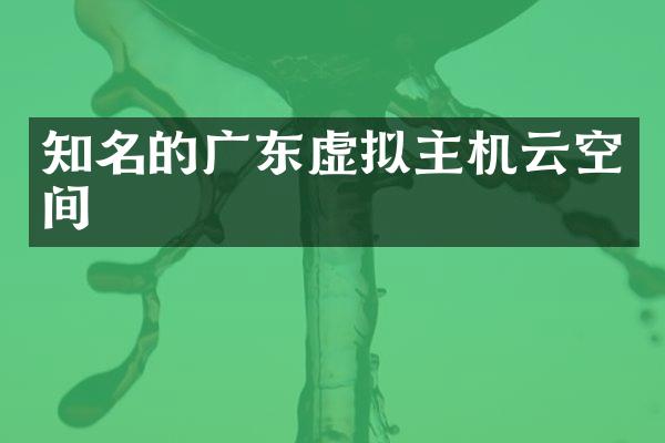 知名的广东虚拟主机云空间