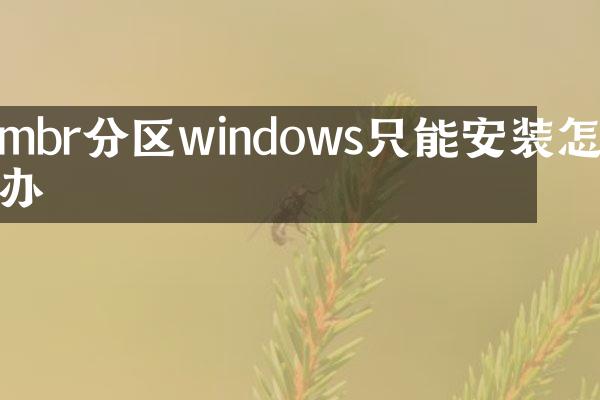 mbr分区windows只能安装怎么办