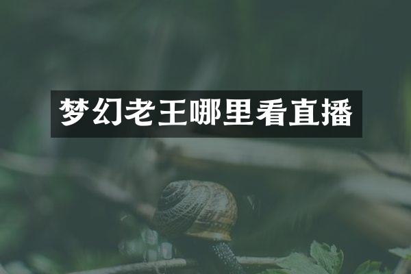 梦幻老王哪里看直播