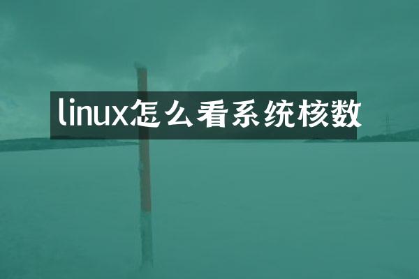 linux怎么看系统核数