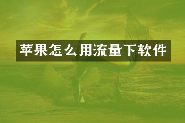 苹果怎么用流量下软件
